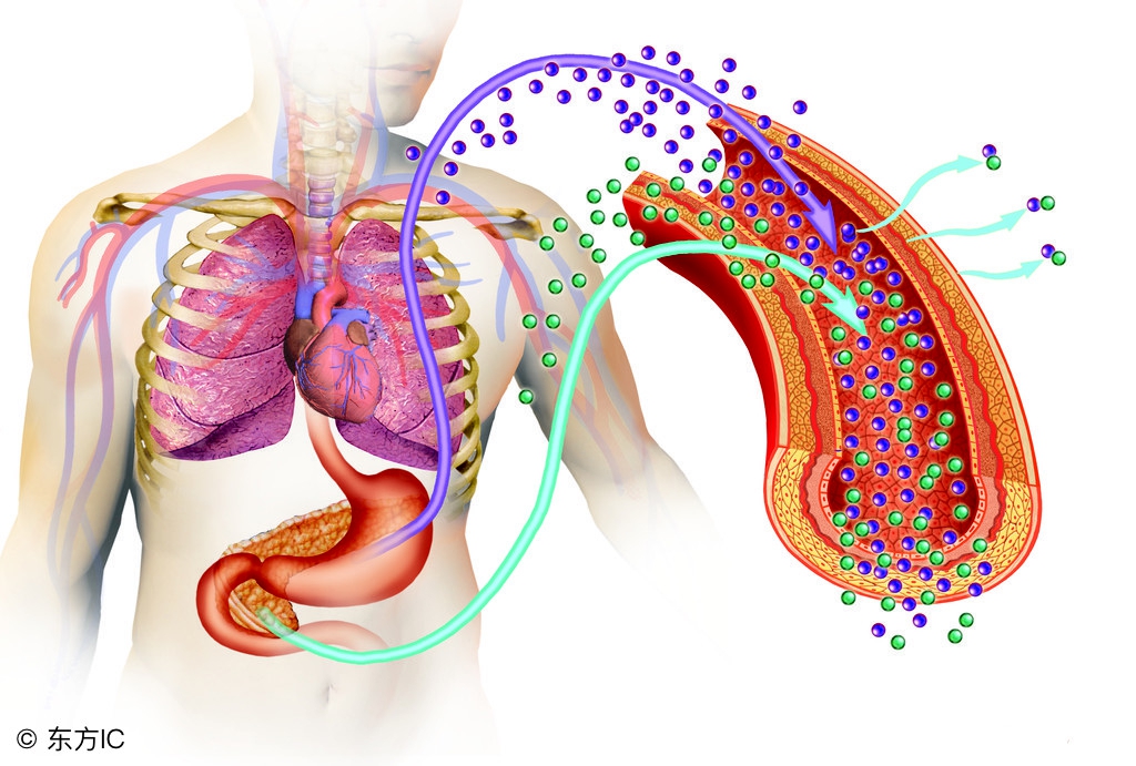 磺脲类降糖药最严重的副作用,磺脲类降糖药有哪些哪种效果好