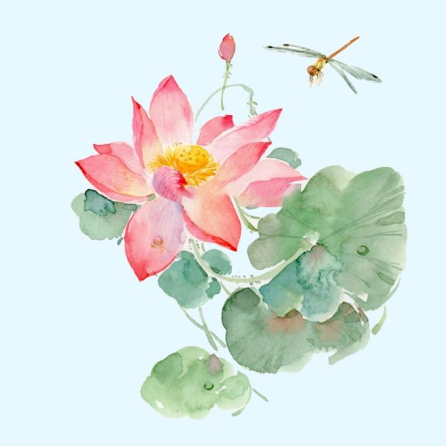 结核病是结核杆菌感染引起的吗,是不是结核病有传染性