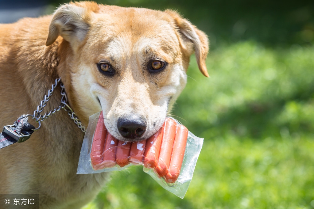 怀孕期间不能吃的食物汇总表,怀孕初期不能吃的菜有哪些
