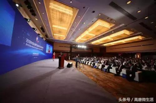 泉林总决赛第一人称,泉林冠军