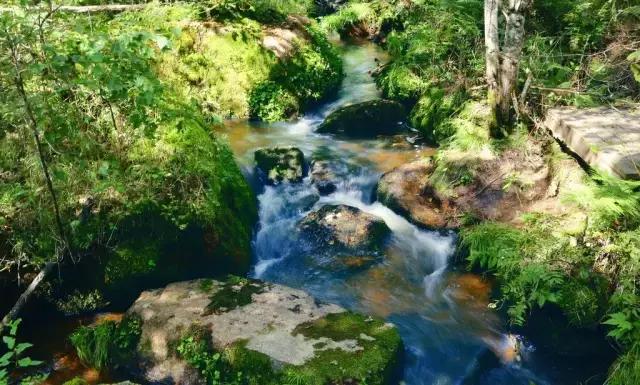 龙江盛夏避暑图片,黑龙江最美十大避暑胜地