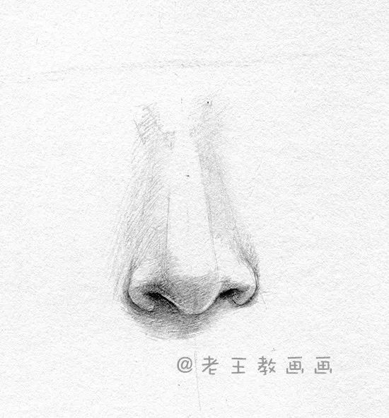 素描五官之鼻子结构图解,鼻子人脸素描画法视频教程