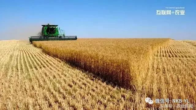 互联网农业是怎么做的视频,互联网农业创业技巧大全