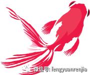 逢源家综活动,逢源家综最新动态