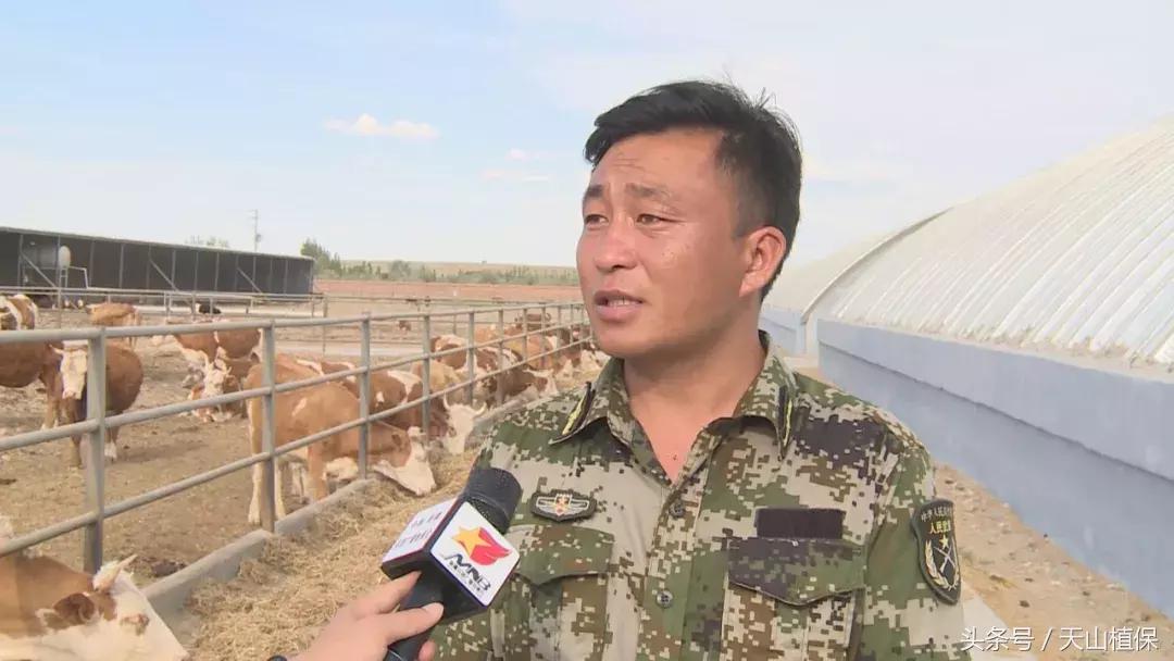 十师团场改革：富了职工活了企业