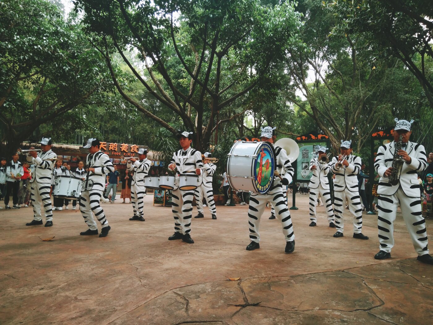 广州长隆野生动物世界之行,广州长隆野生动物世界游玩攻略图