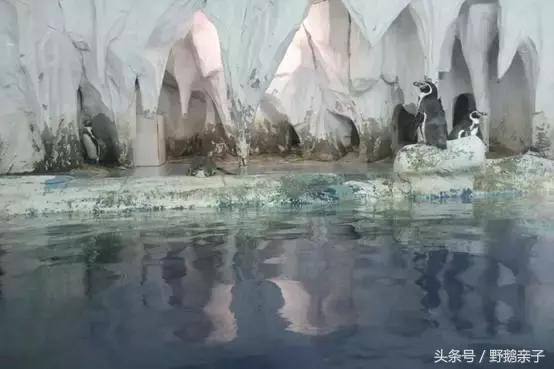 这个夏天去北京旅游好玩吗,夏天适合去的海底世界