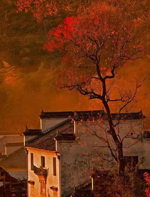 这竟然是农村！中国最美乡村Top10，有你家乡吗？