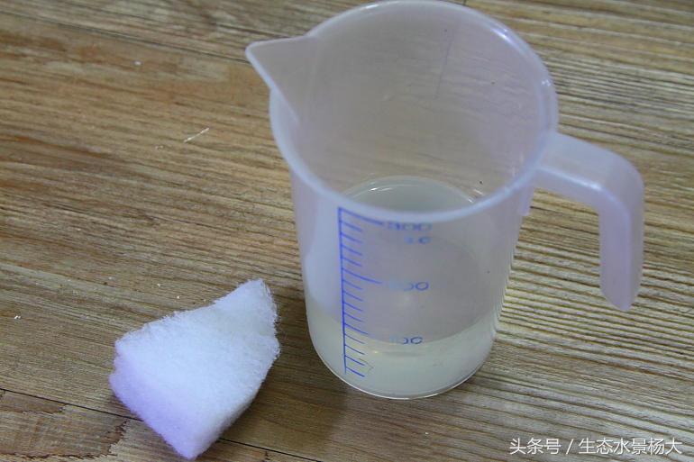 鱼缸上的水垢清除妙招,怎样清除鱼缸上的水垢