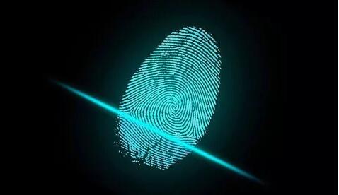 江湖九大绝技武功排行,江湖武功十大秘籍