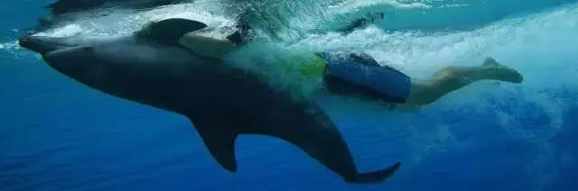 迪拜旅游攻略最低价,迪拜旅游攻略省钱