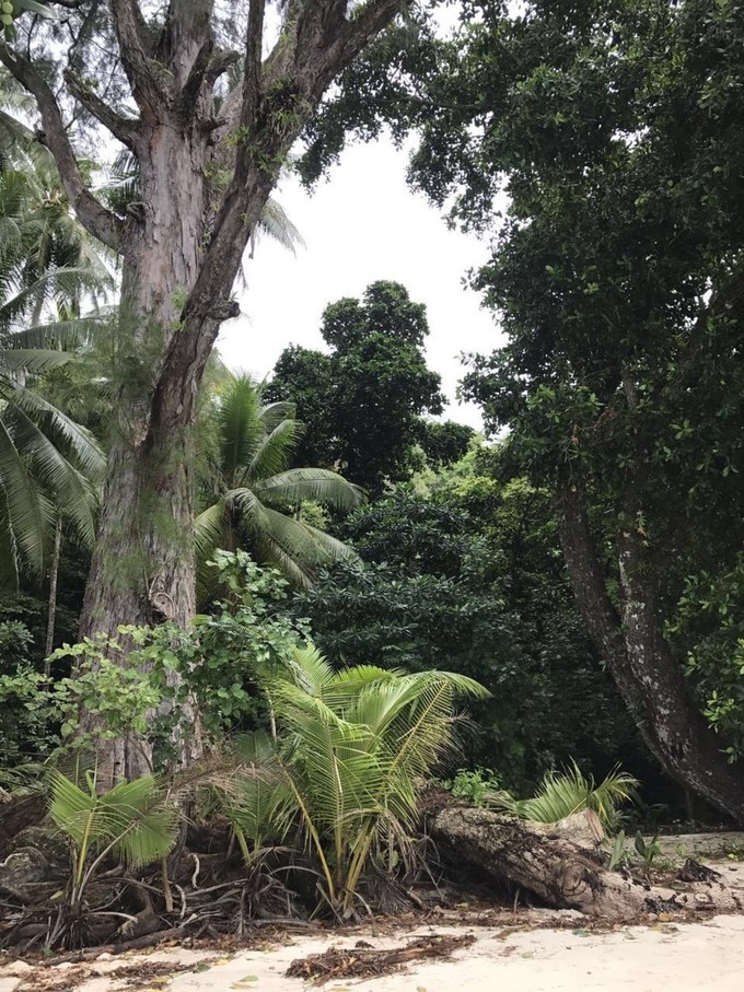 一个人的浪漫旅行视频,一个人的浪漫旅行自由自在