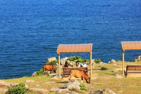 香港旅游购物攻略小众,香港小众攻略