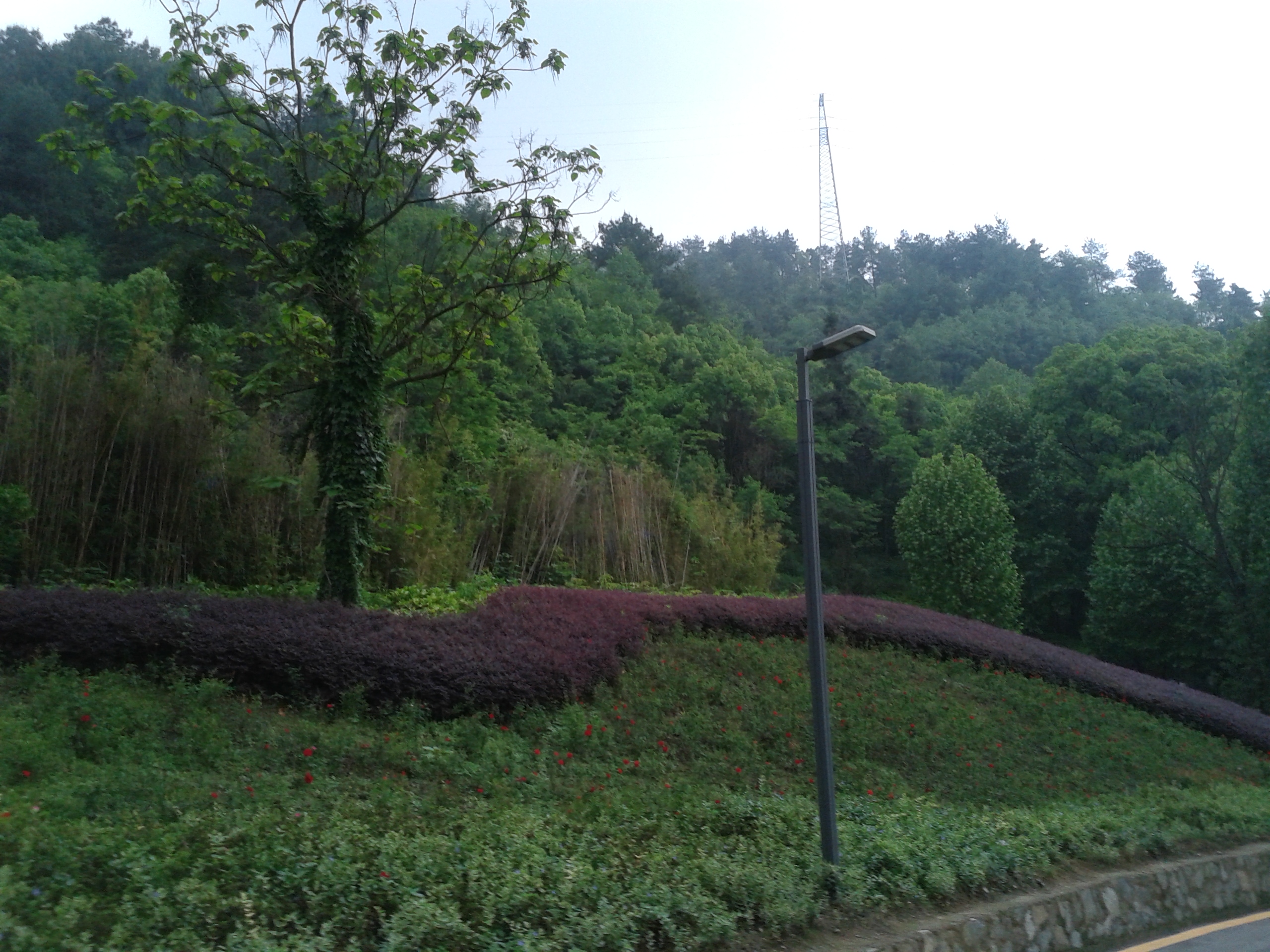 阿哈湖有什么景点,阿哈湖风景区