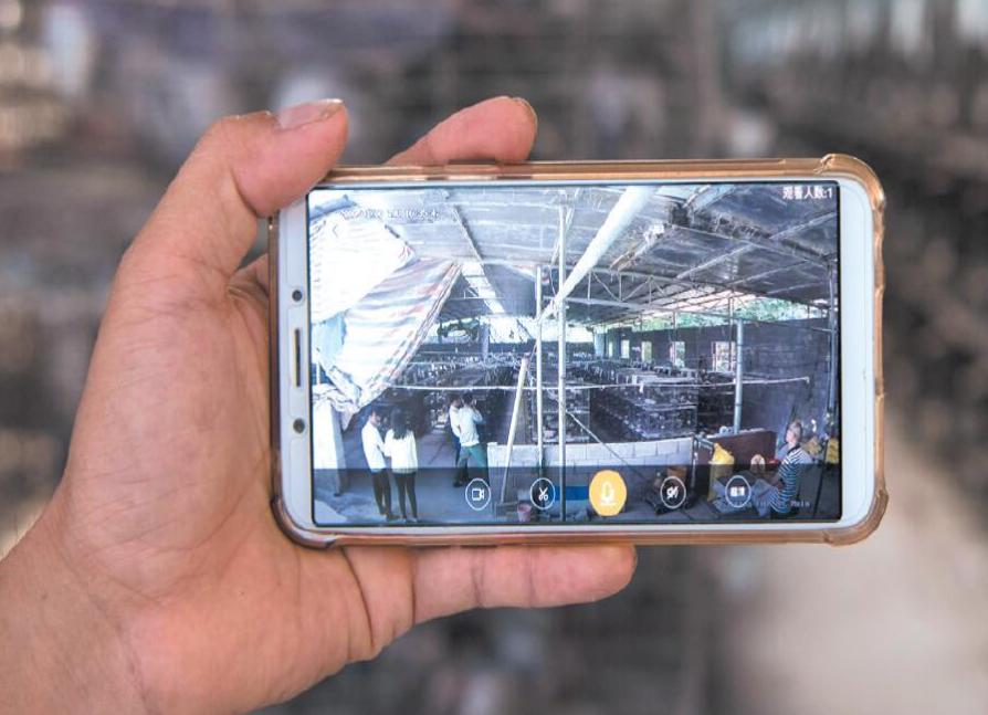 广西南宁：“鸽书记”创业带富，贫困户争相脱贫