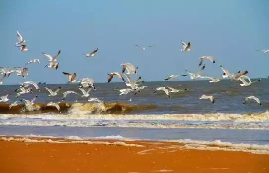 石家庄北戴河旅游景点,去北戴河不容错过的地方