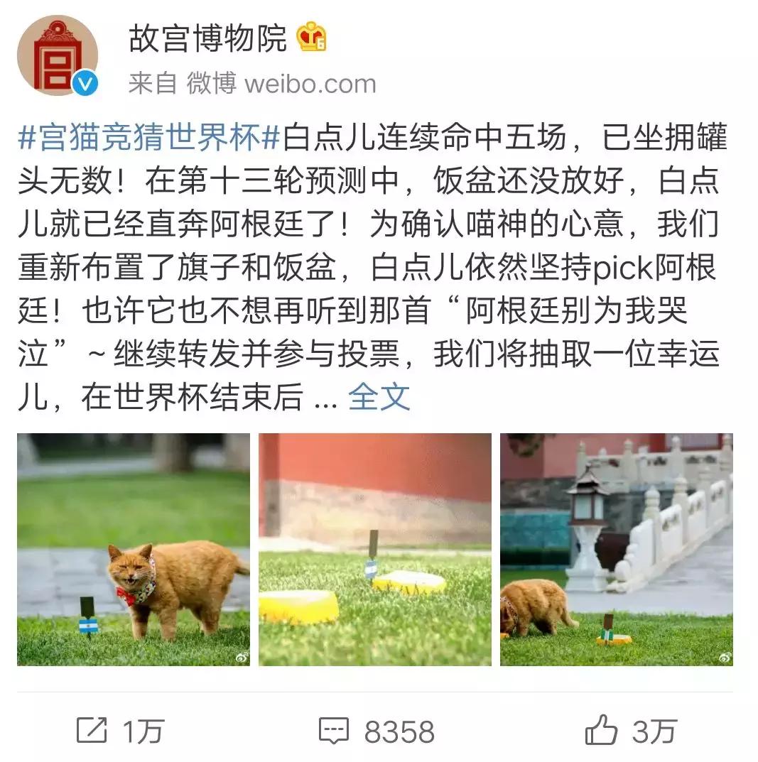 故宫的猫去世了吗,故宫的猫怎么去世的