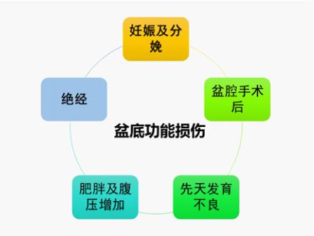 生过宝宝为什么拉屎都是绿的,生了孩子笑一下都会漏尿