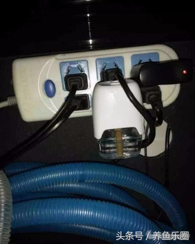 夏季防蚊小妙招赶紧收藏,鱼池夏天怎么驱蚊