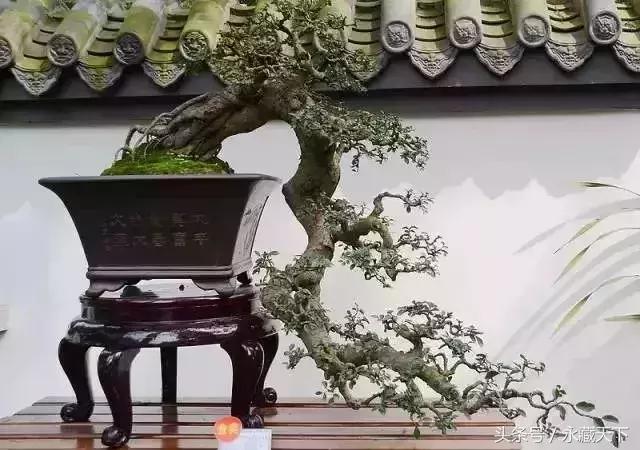 100种中国符号长见识了,中国100种符号大全