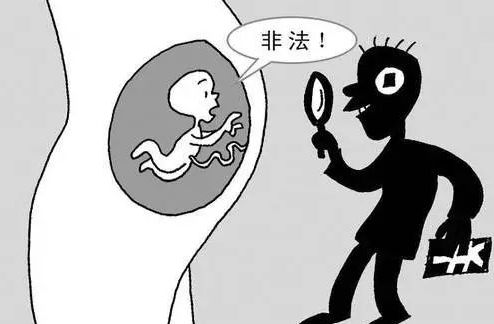 海关最近查获的商品,中国海关查获的最新物品