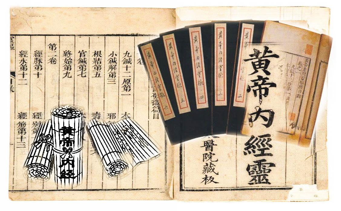 德慧智教育理念,德慧智教育深度解析