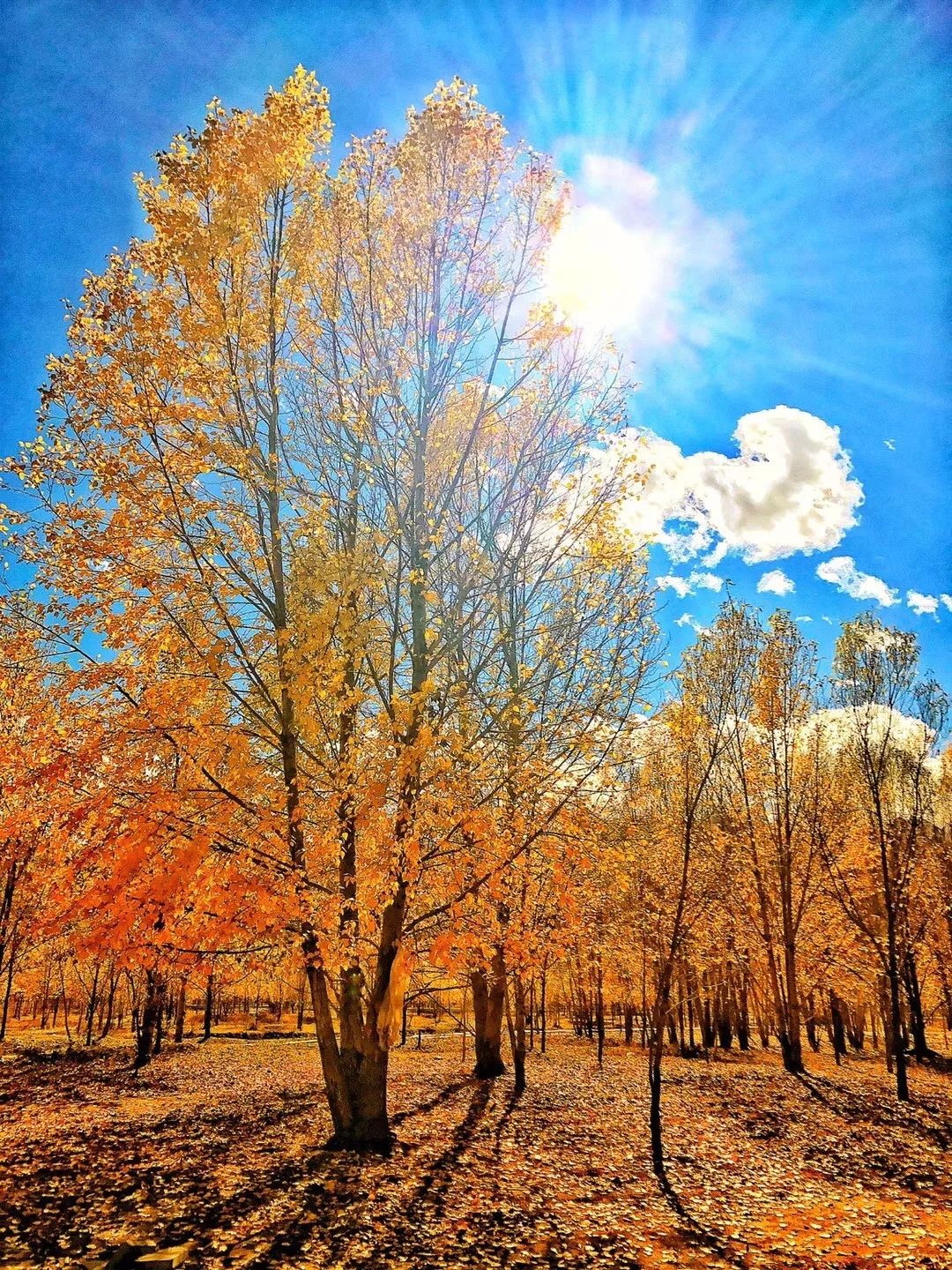 表面看上去的样子点进去却不一样,表面看似一样其实不一样