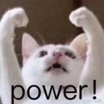 现役好门将,好的门将顶半个球队