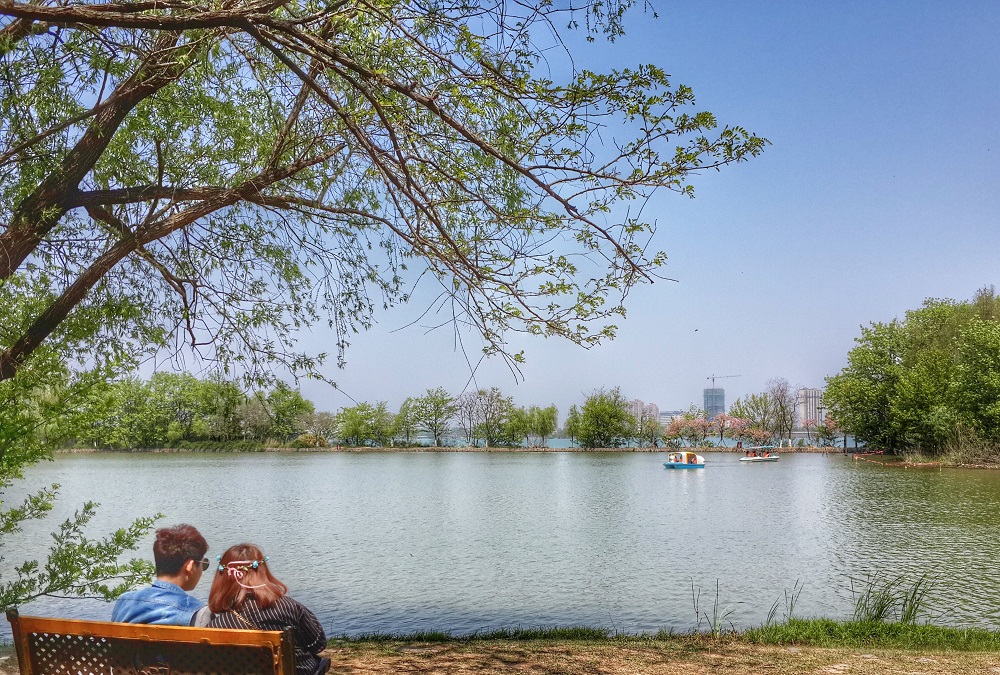 合肥有哪些旅游景点推荐,合肥必去五大旅游景点视频攻略