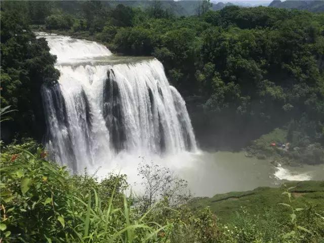 黄果树有多少年的历史了,90年代黄果树什么样