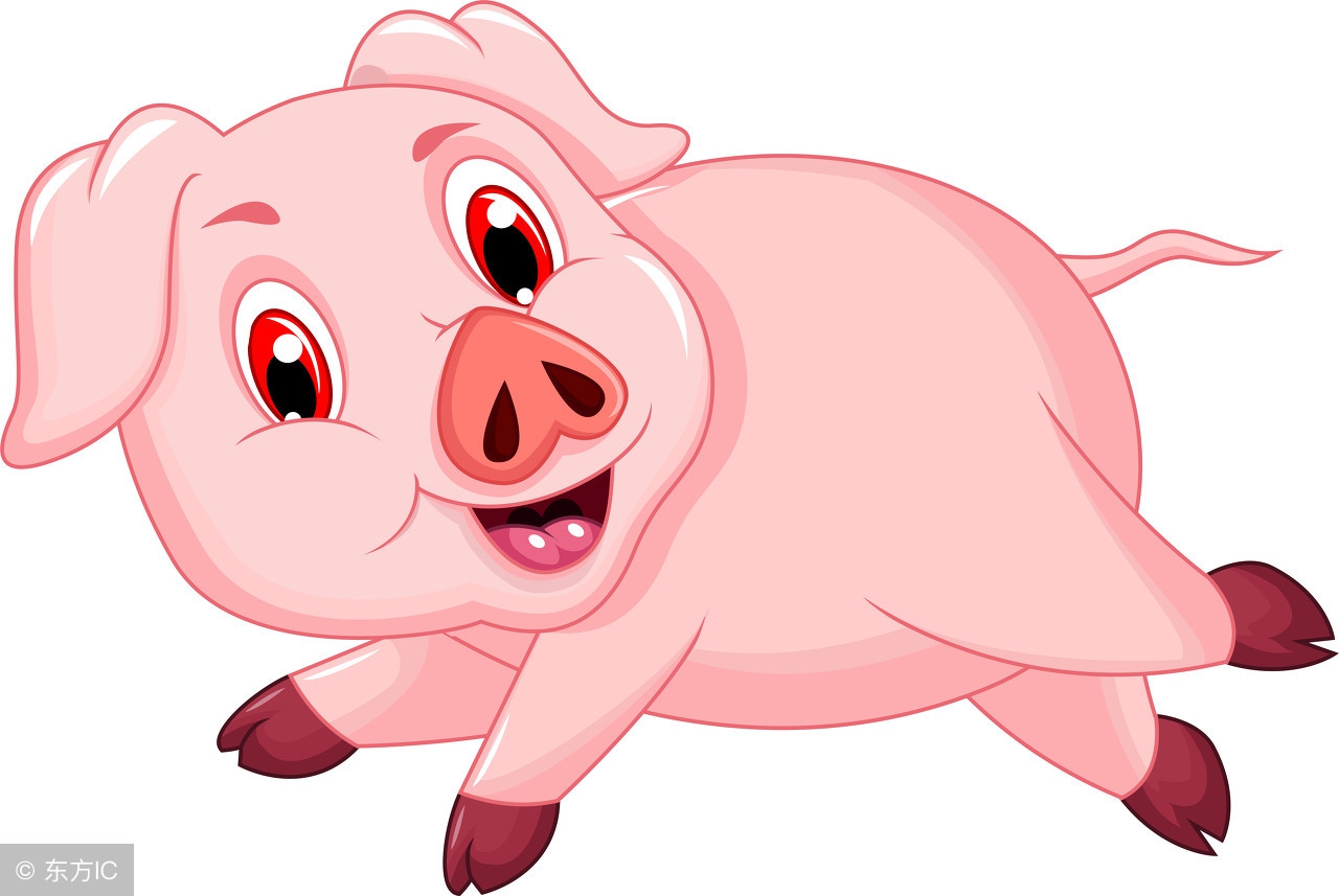 2024年1月5日生肖猪运势,生肖猪明日运势简介