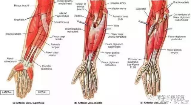世界杯球员受伤,世界杯运动员损伤情况