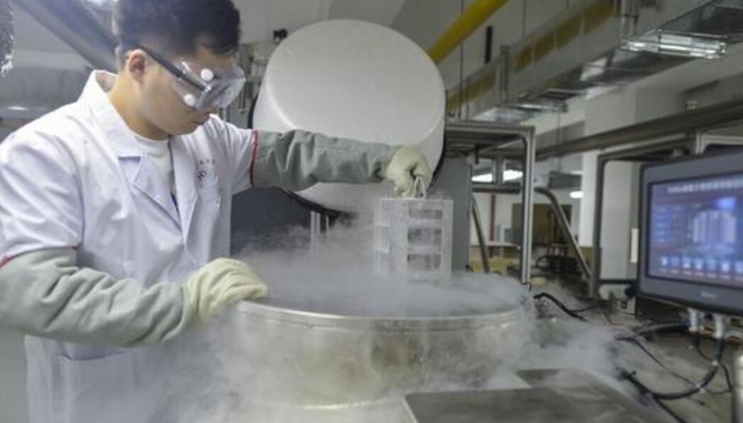 武汉大学附属中南医院,武大中南医院医学部