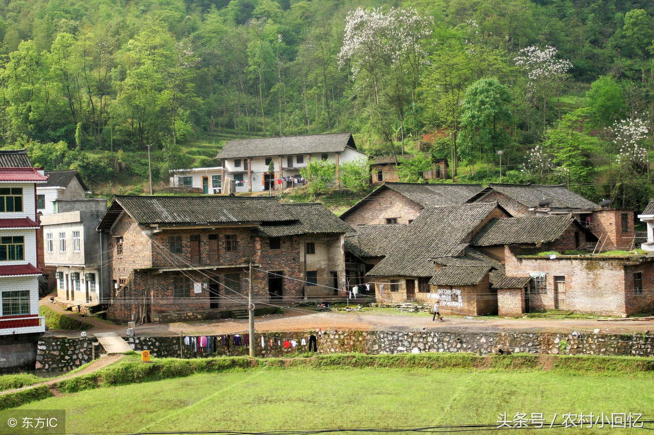 新农人创业种植,新农人在农村创业致富