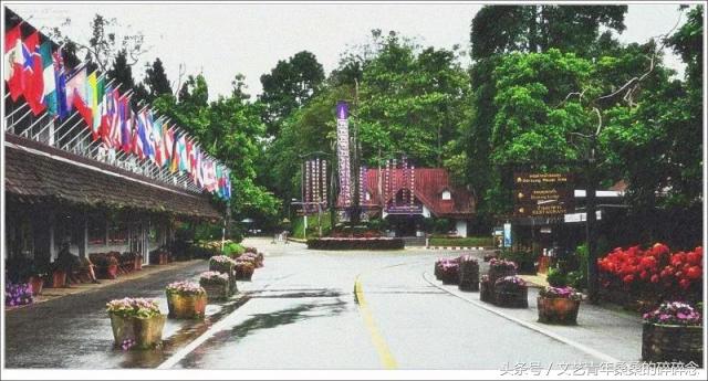 泰国清莱，此生不留遗憾的蜜月之“甜”！