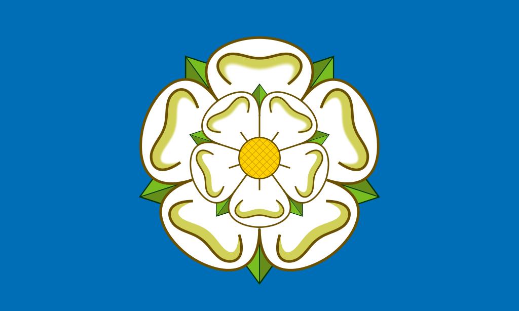 养一个约克夏要花多少钱,养一只约克夏的成本