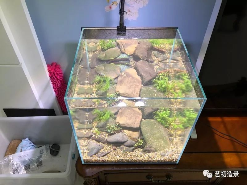 虾虎缸造景要什么过滤器,虾虎缸用什么石头造景好