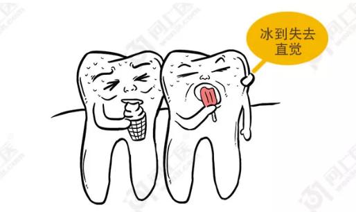 智齿为啥叫恒牙,智齿为什么叫阻生