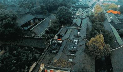 清明上河图来历和作者,清明上河图表达作者什么之情