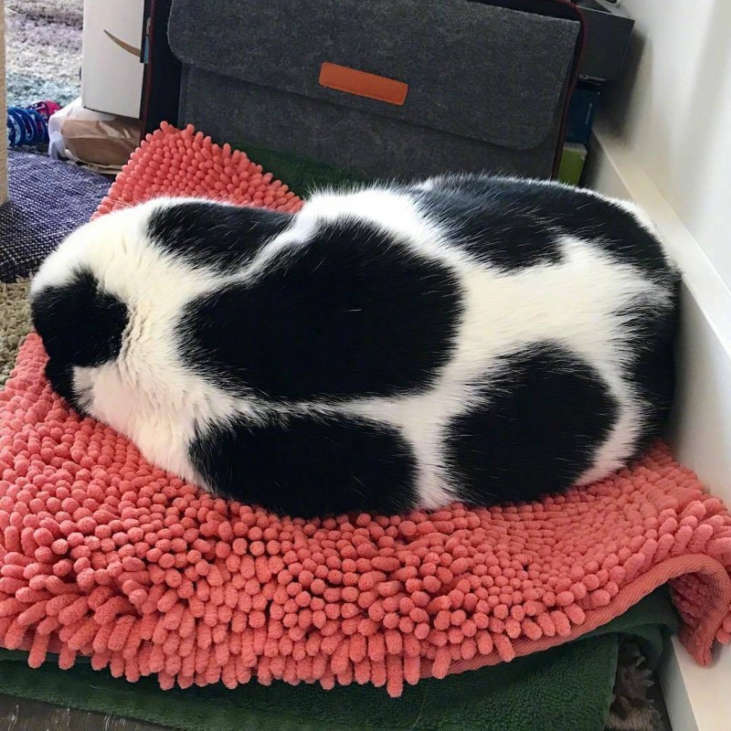 触目惊心的世界杯,世界杯来了你怎么看