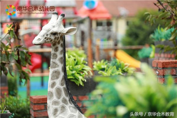 想要加盟儿童游乐场,想要加盟开店要准备什么