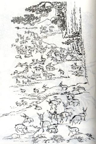 这些中国传统吉祥图案你见过几个？知道图案寓意吗？