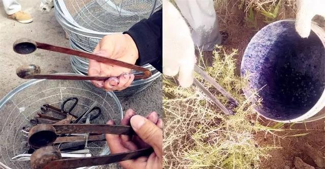 花青素之王黑枸杞青藏高原,花青素之王黑枸杞功效