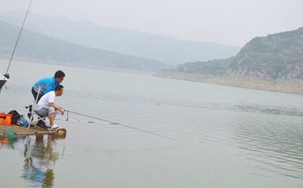 虾米闹窝最简单的处理方法,钓虾米怎么打窝