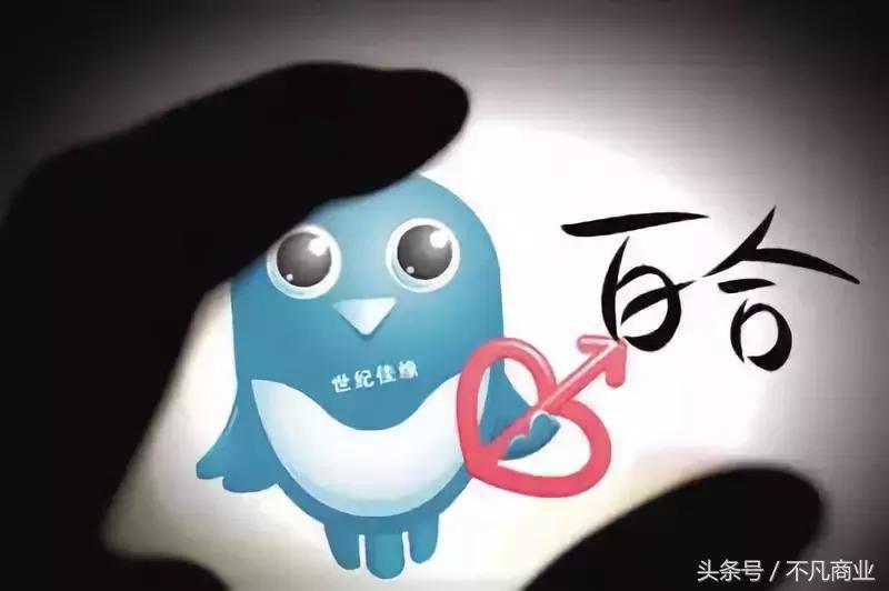 婚恋网站发展下线,婚恋网站道歉