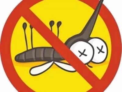 如何预防蚊子最有效方法,预防蚊子咬的小妙招