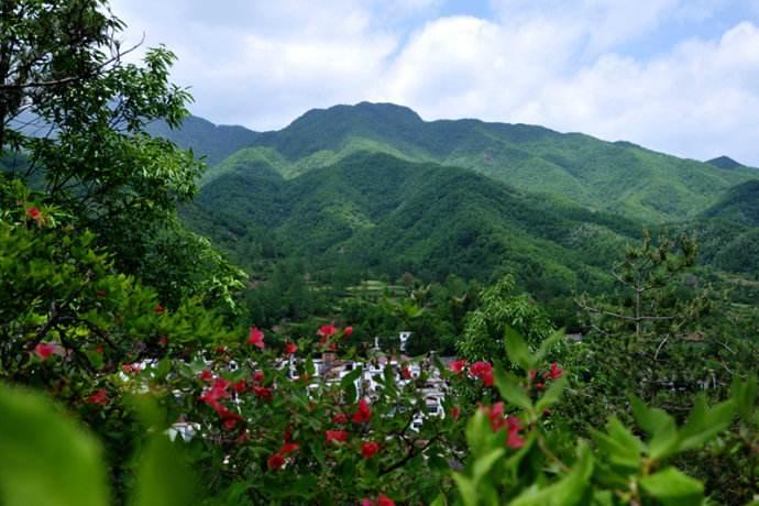 洛阳市各县区经济排名,洛阳市哪个县经济最发达