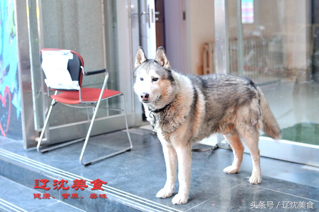 吃遍沈阳中街,吃遍沈阳川菜馆