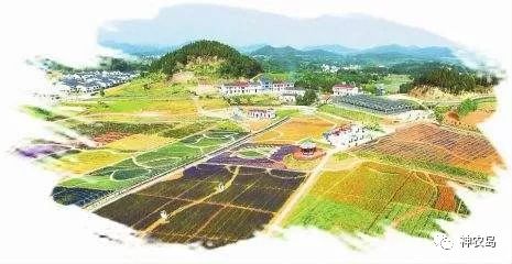 农产品网络营销的方法和思路,农产品网络营销的方法有哪些