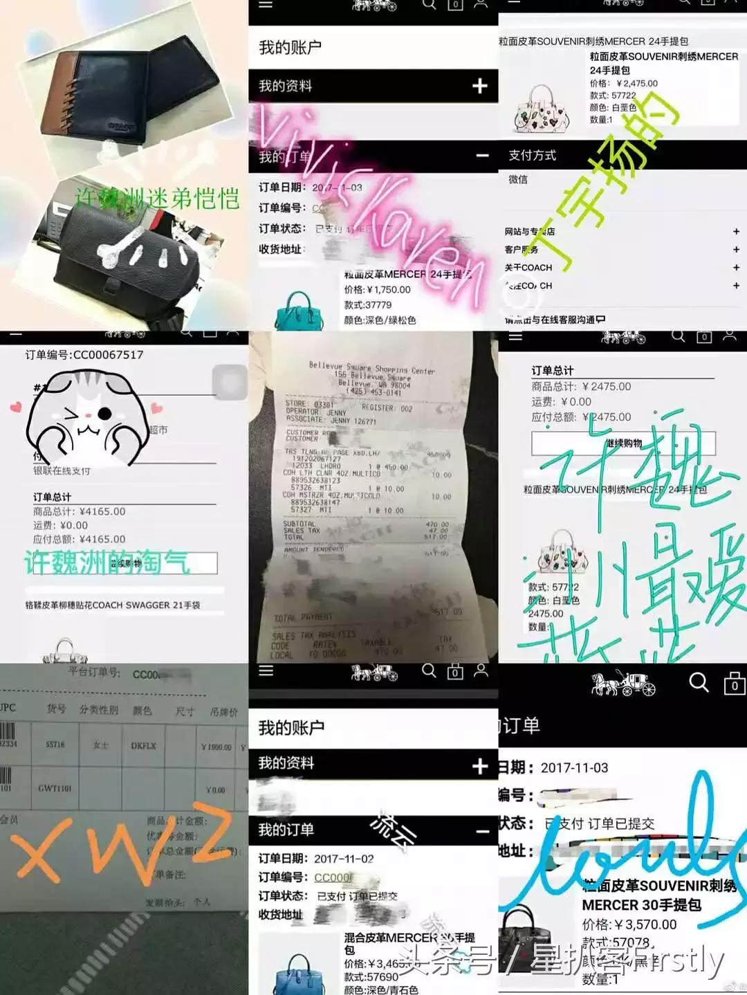 许魏洲超强阵容,许魏洲努力视频